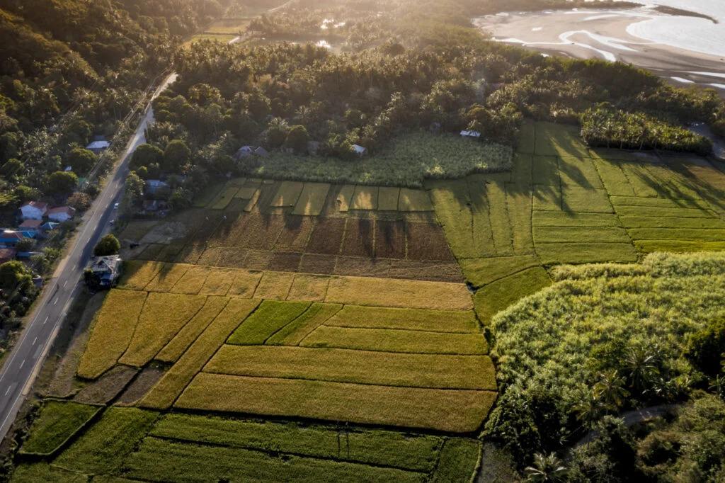 aerial-shot-grassy-field-near-road-sea-with-trees-daytime
